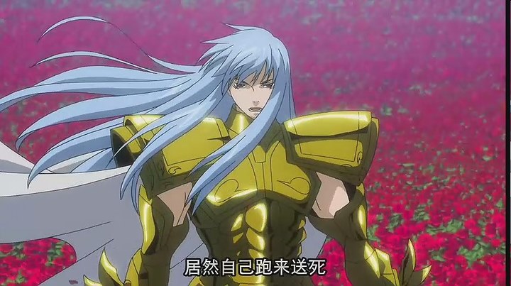雅柏菲卡