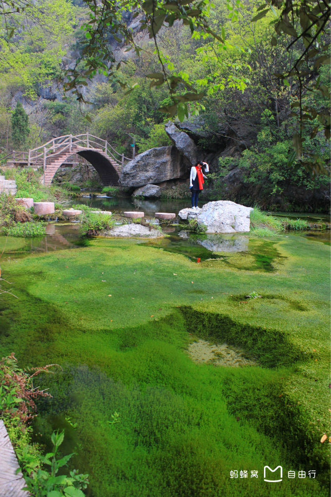 坐禅谷景区,是一处位于河南省 a target="_blank" href="/item/淅川县