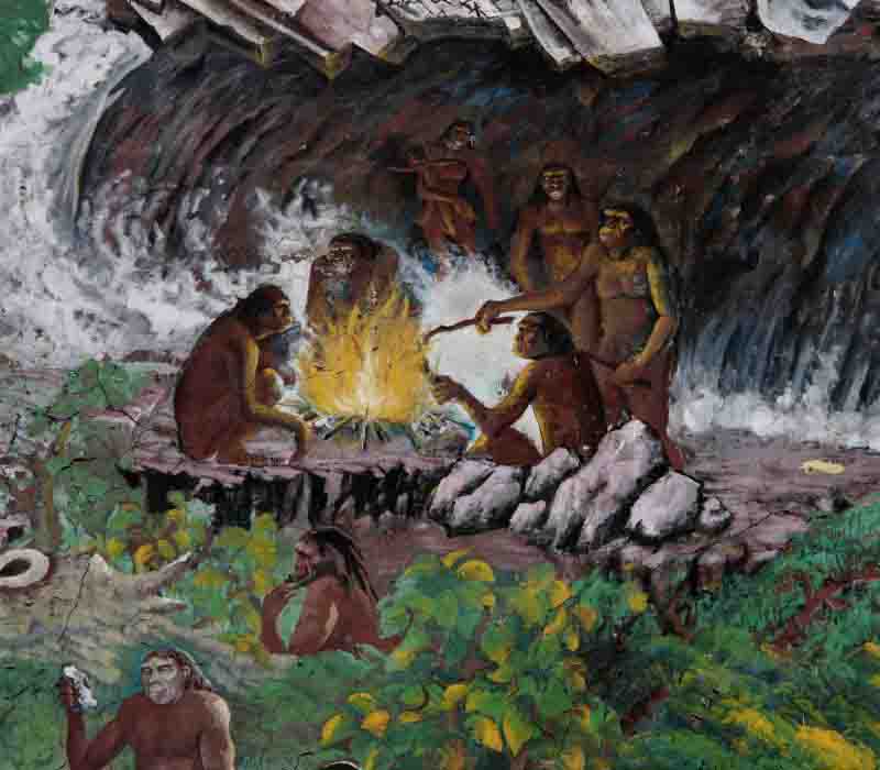 根据现代科学研究表明,是人类的早期祖先,人类是从一种古猿类发展而来