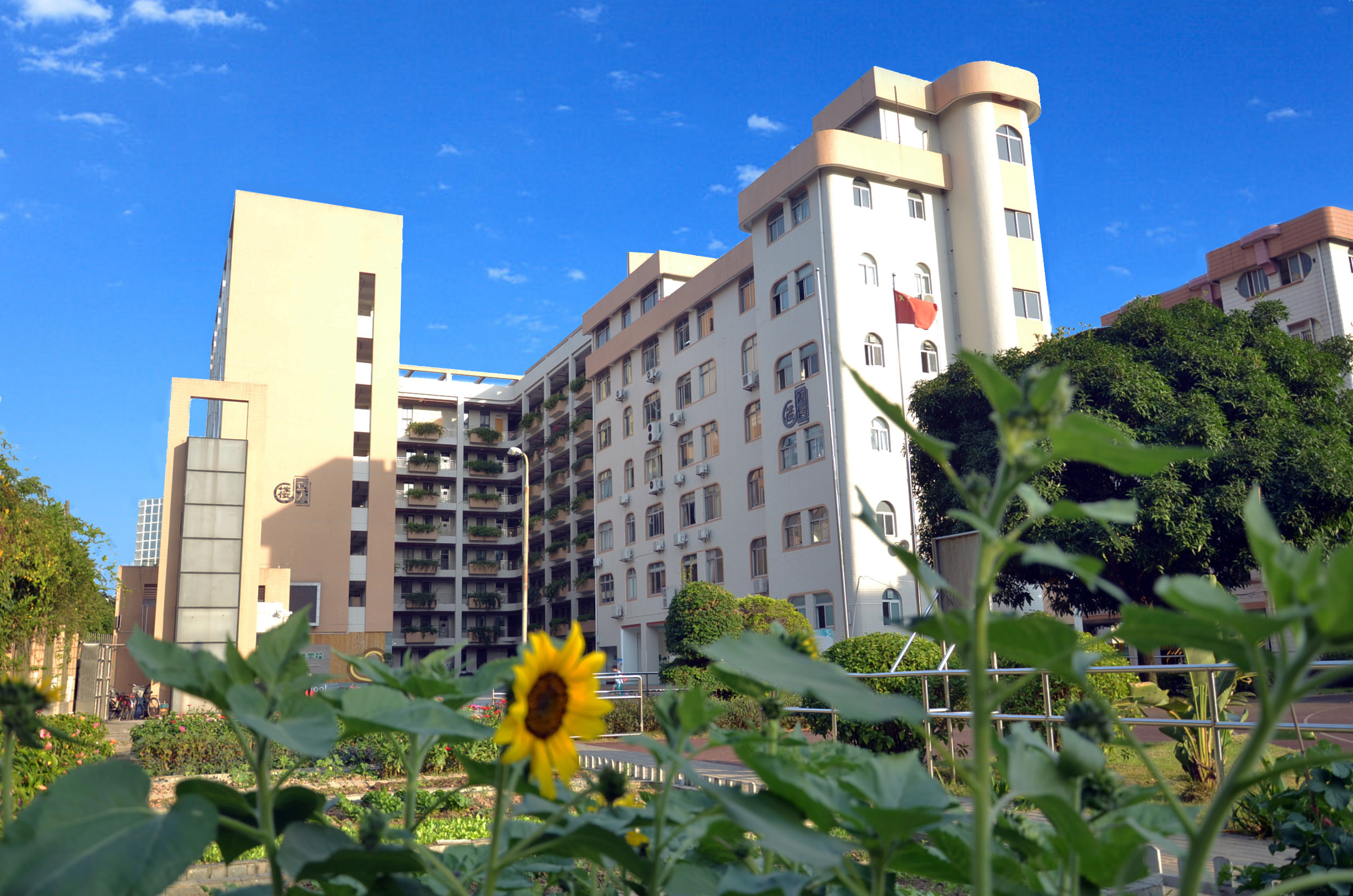 佛山市启聪学校