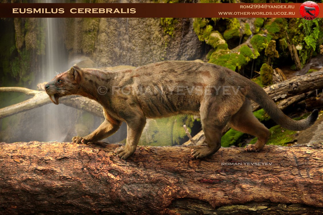  p>剑齿猫(homotherium latidens)是一种生活在更新世晚期的 a href="