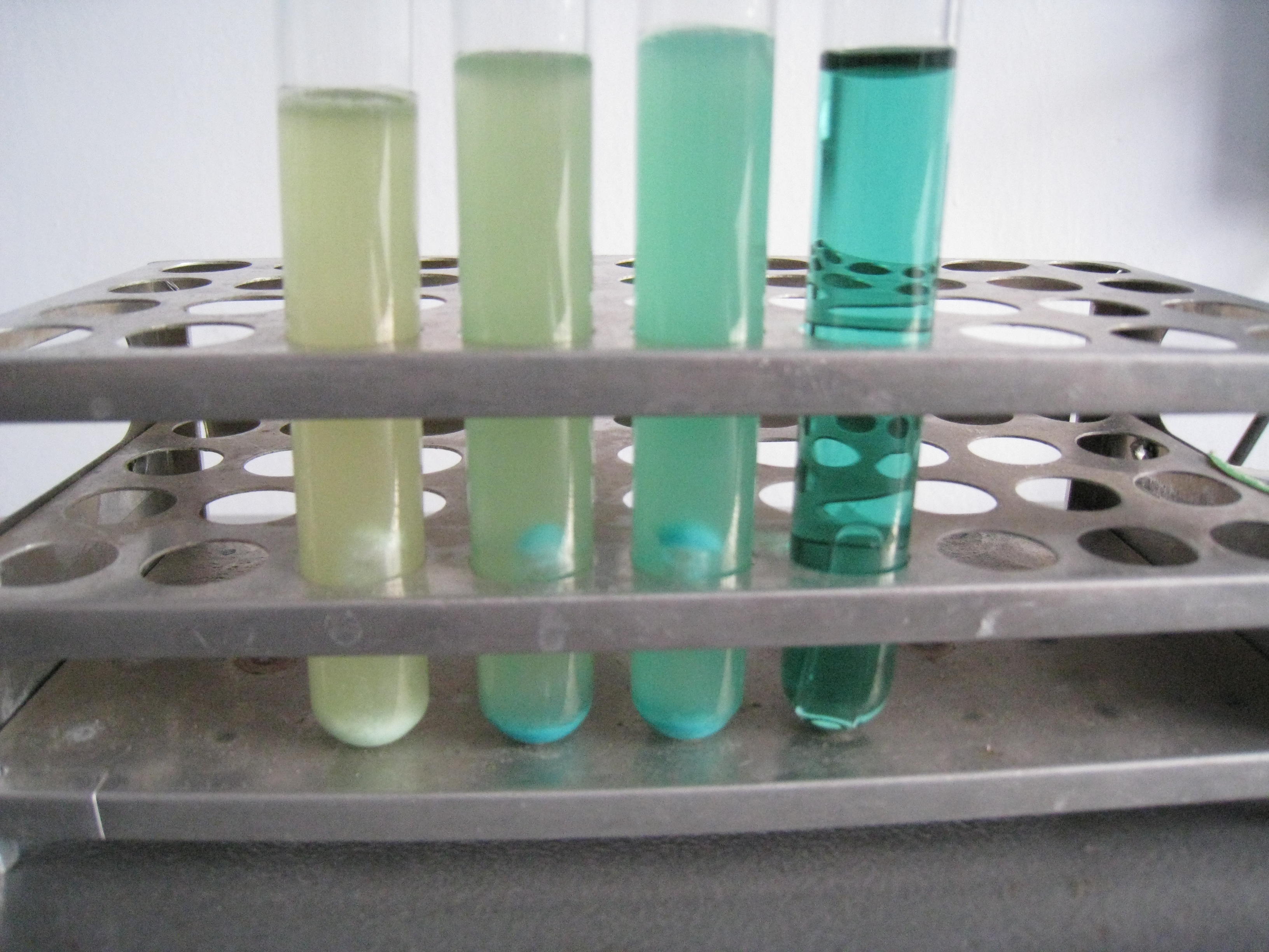 ">高氏 /a>一号 a target="_blank" href="/item/培养基/1317328"