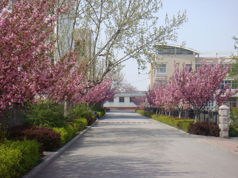 山东省莱阳市第一中学