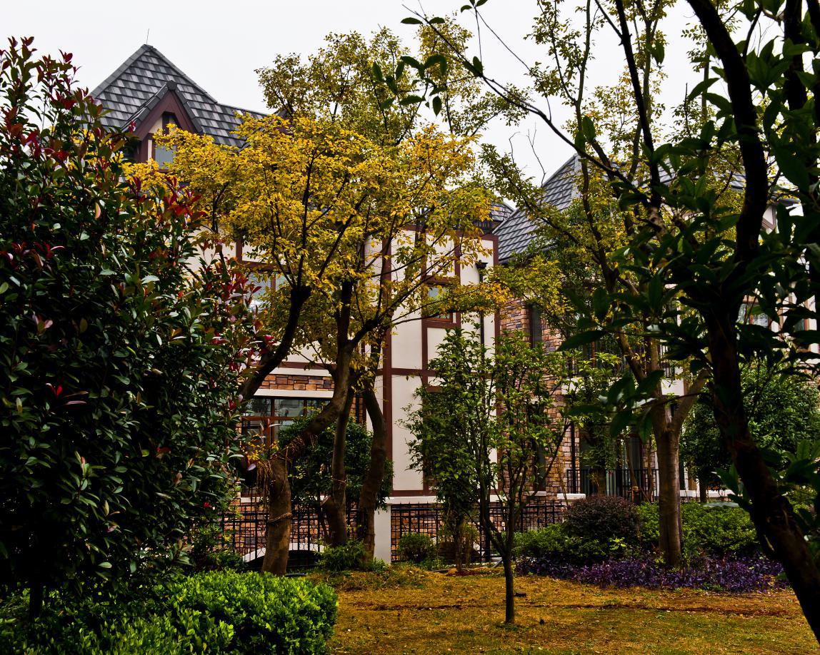 阳光100大湖第商铺