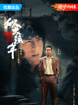似火流年_百度百科