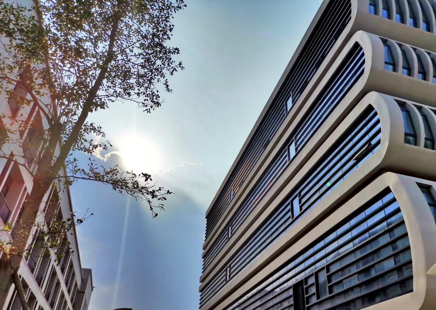 晋江市拔萃双语学校