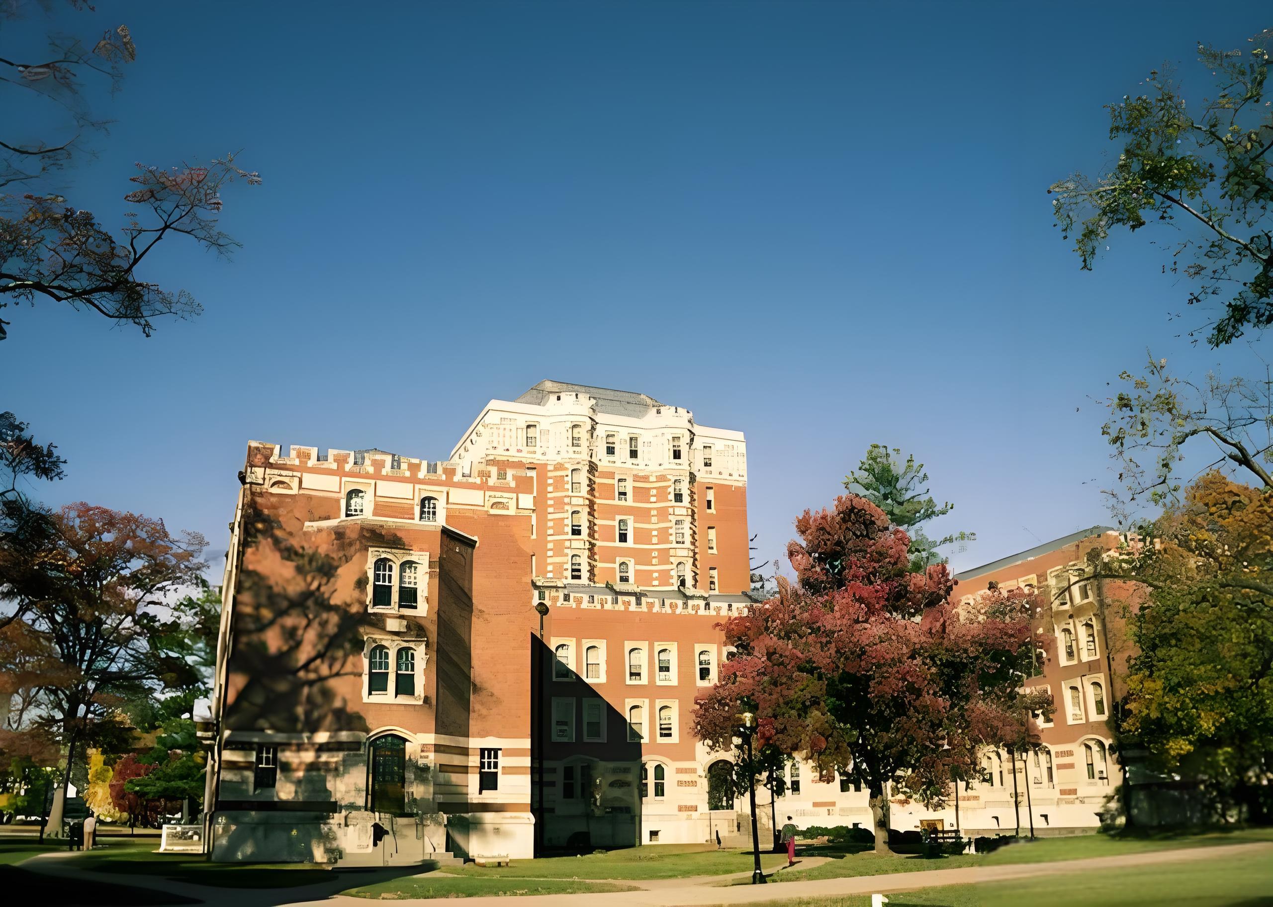 data-id="gn0lxojv1d">纽曼大学(newman university)是一所位于美国