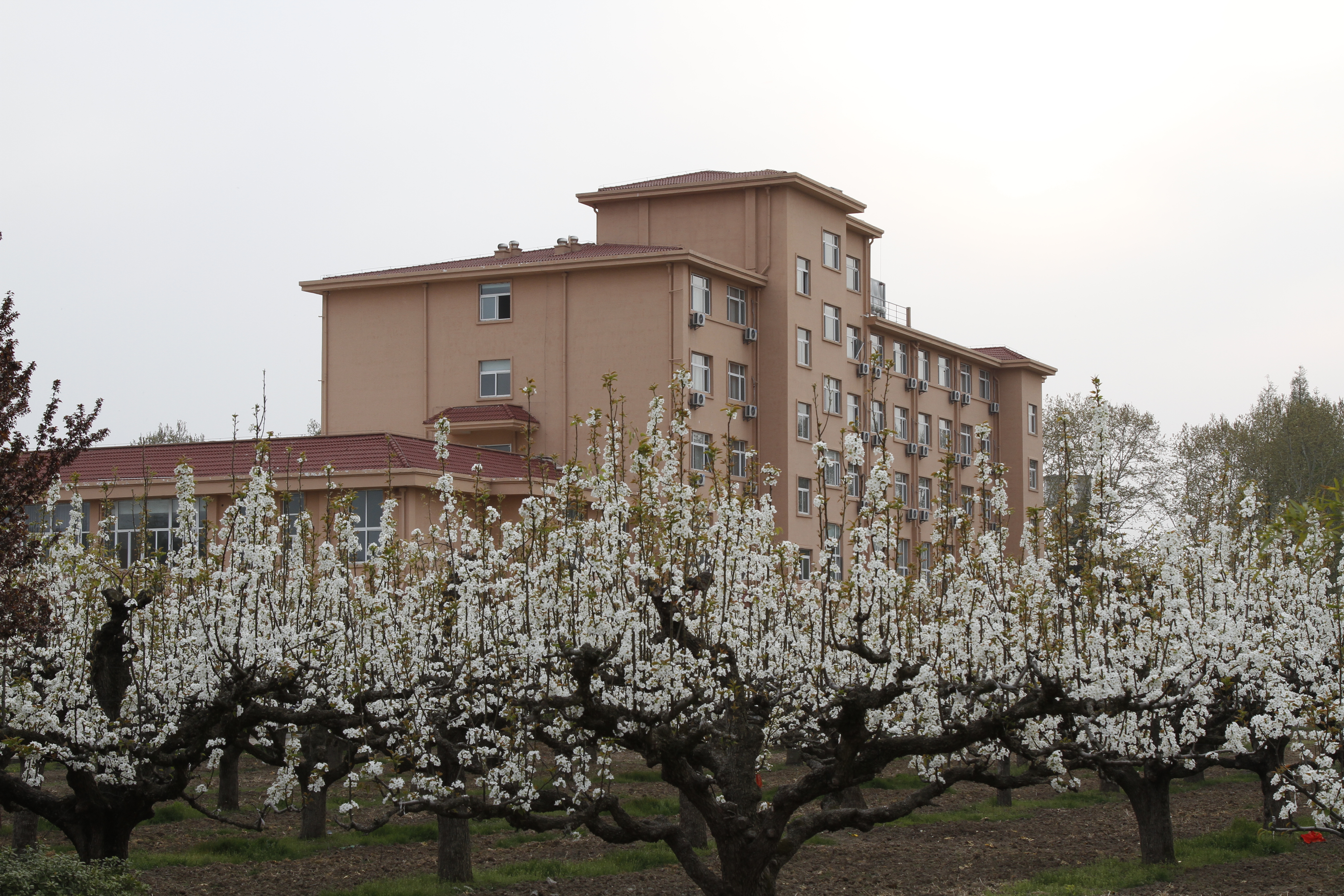 data-id="gnayydikjn">蚌埠干部学校成立于1962年,安徽省固镇县新马桥