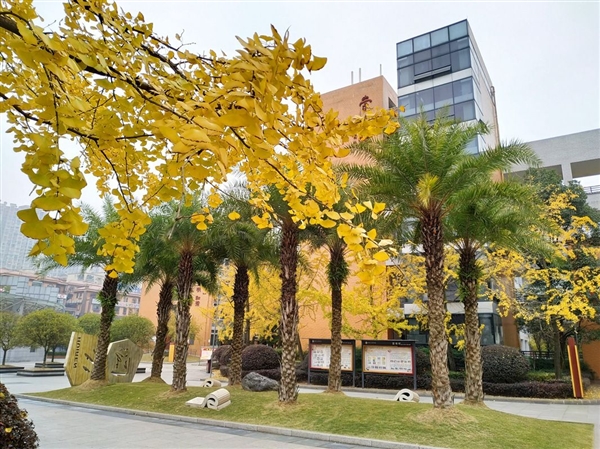 自贡市汇东实验学校