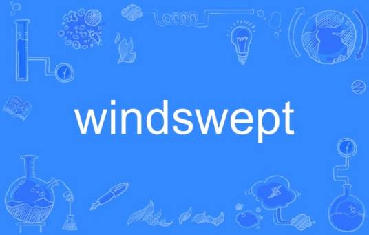 windswept（英语单词）_百度百科