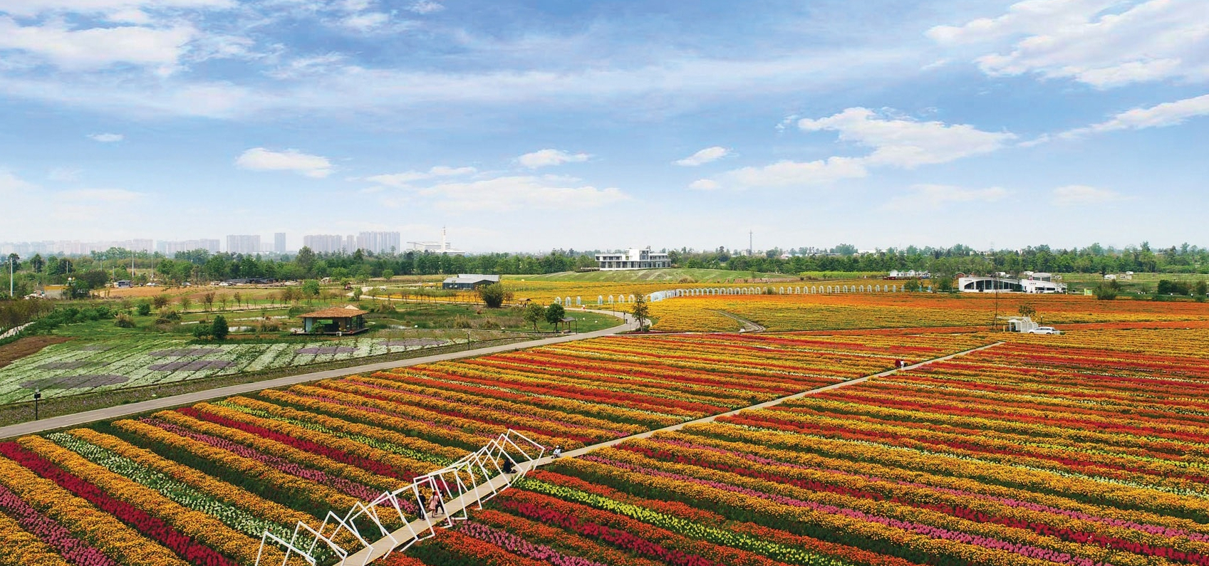 data-lemmaid="5020801">成都市 /a>最大的花卉观光基地,也是"成都市