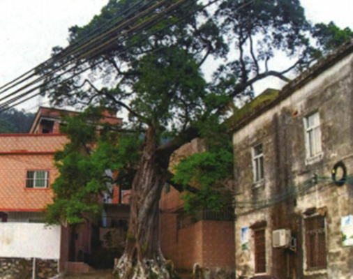 大环村,隶属于广东省东莞市 a target="_blank" href="/item/大岭山镇