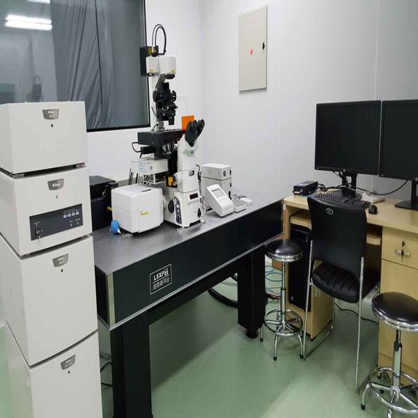 高速高分辨双光子共聚焦显微镜