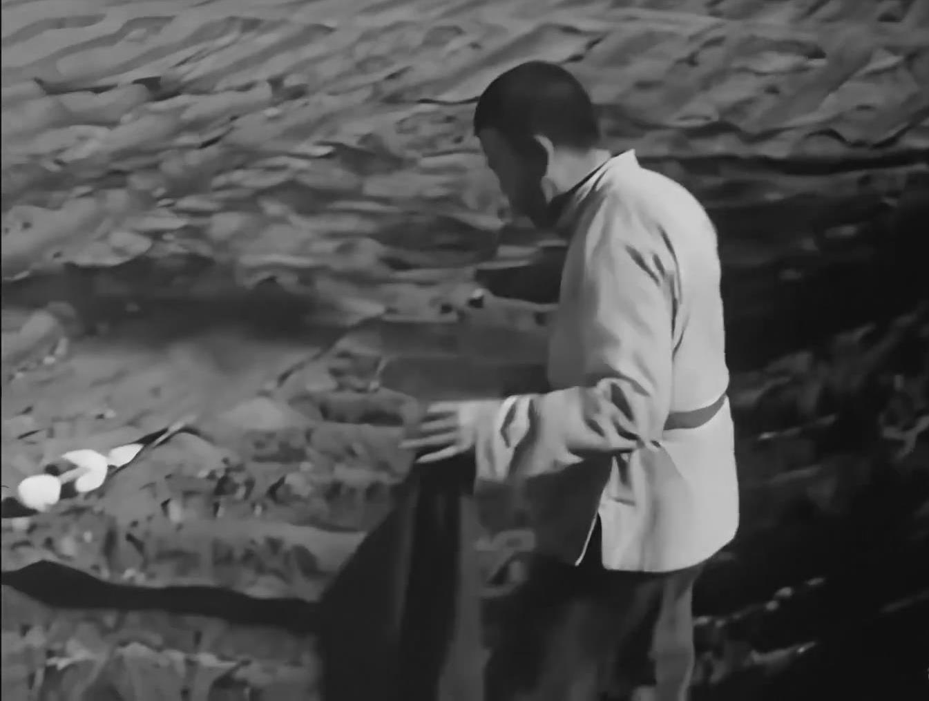 《分水岭》1964年上映,由李俊执导,张勇手,高保成,周正禹等主演的电影