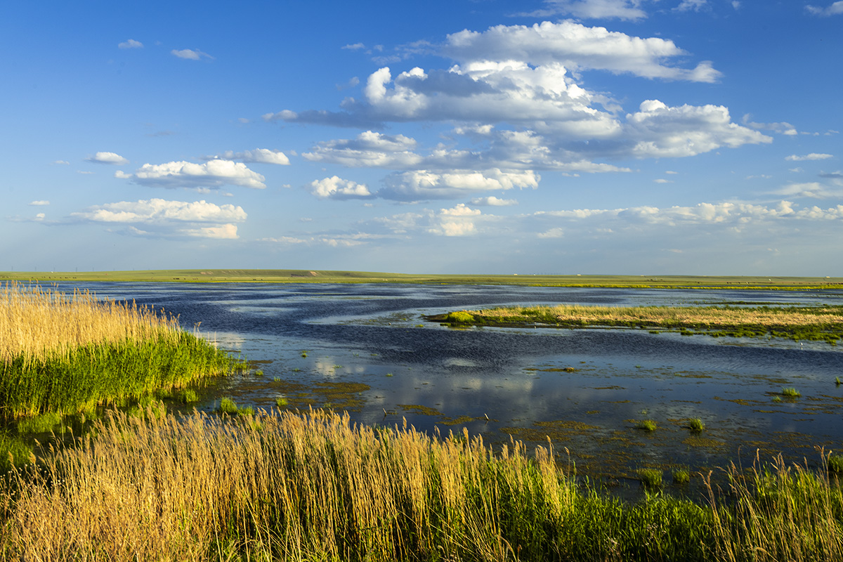  p>辉河湿地,是内蒙古呼伦贝尔市的自然景观.