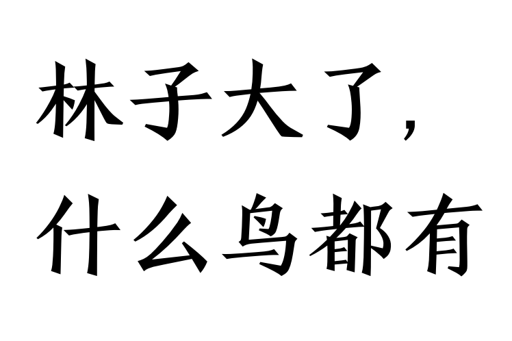 林子大了,什么鸟都有