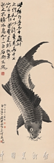 鲤鱼