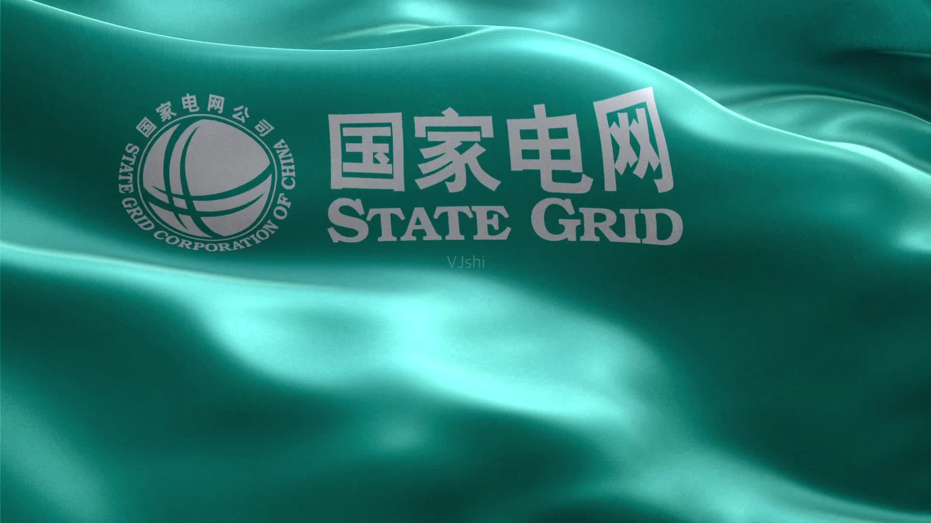 国家电网有限公司