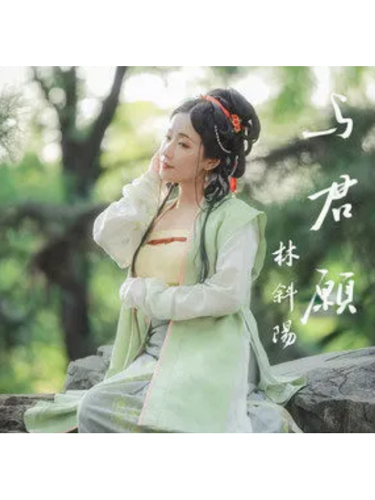  p>《与君愿》是林斜阳演唱的歌曲,由陈兆红作词,张子函作曲,收录于