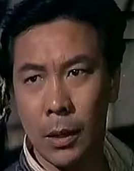 魏龙豪