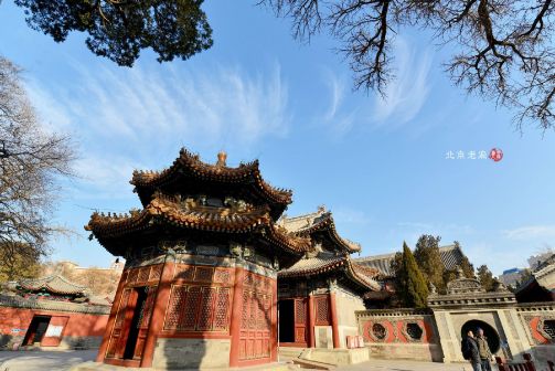 万岁山武侠城_百度百科