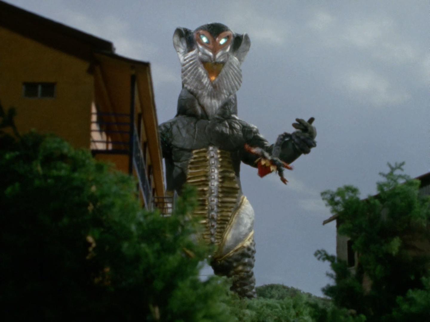 美菲拉斯星人第二代