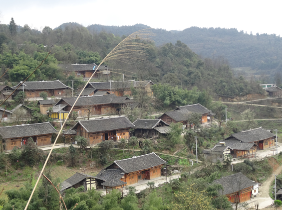  p data-id="gnvfkkxm7a">苗族地区盛产木材,因而房屋大多为木结构 a