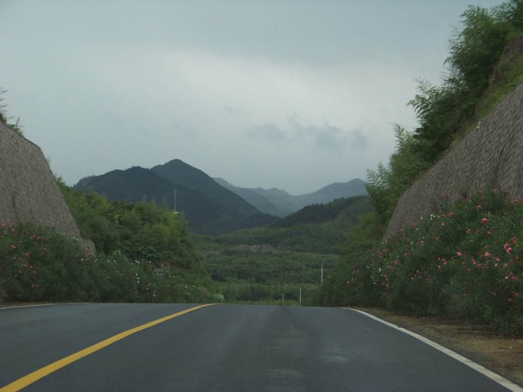  p> a target="_blank" href="/item/藻溪镇/9027" data-lemmaid="