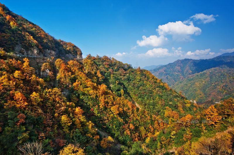  p>光雾山旅游景区,国家aaaaa级旅游景区,位于四川省巴中市南江县北部