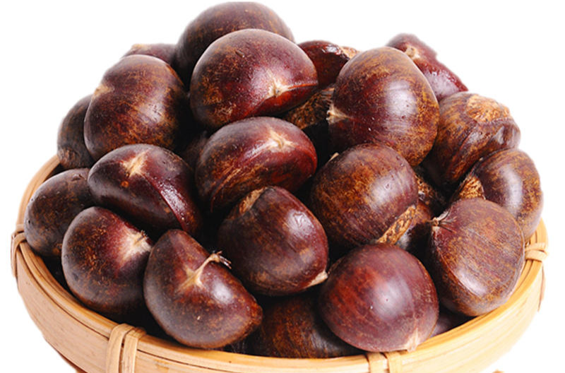 中国板栗