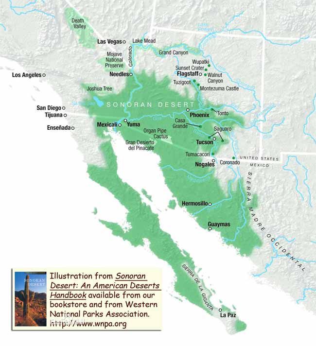 又译 a href="#">索诺兰沙漠 /a>,是北美洲的一个大沙漠,位于美国和