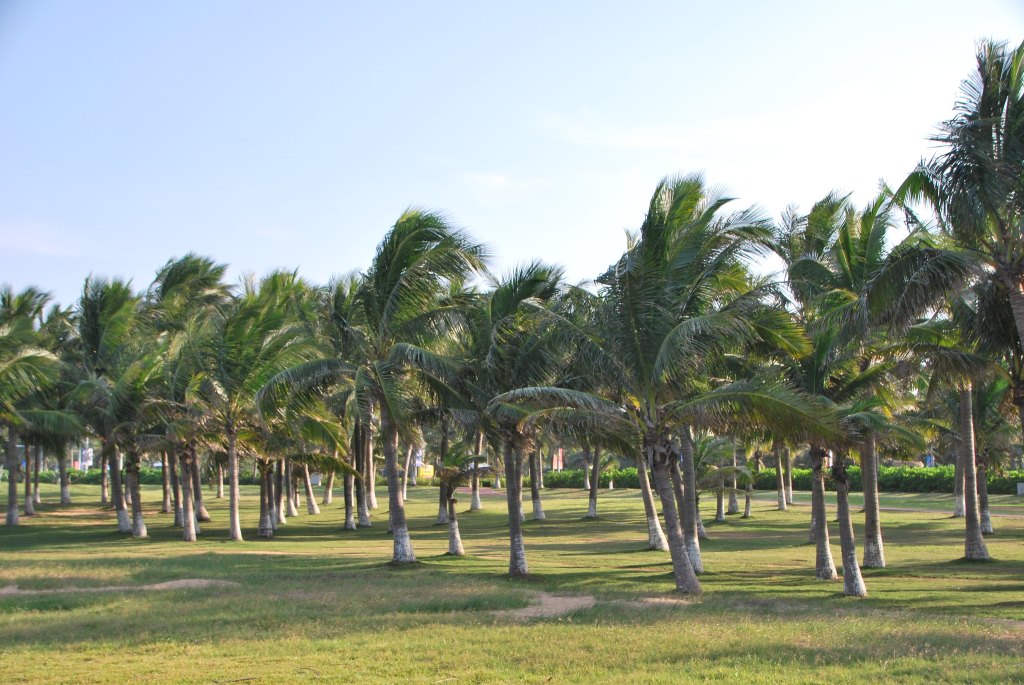 西海岸带状公园