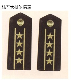 正师级