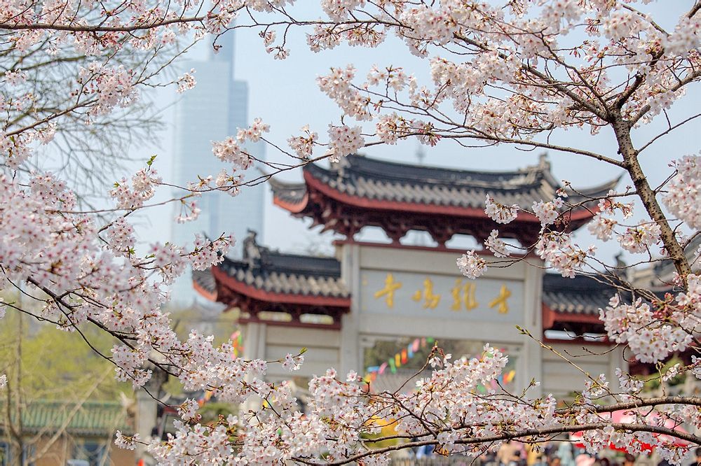 鸡鸣寺
