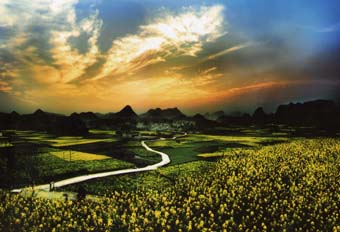 贵州龙宫风景名胜区自然风光旅游记录片优酷的简单介绍