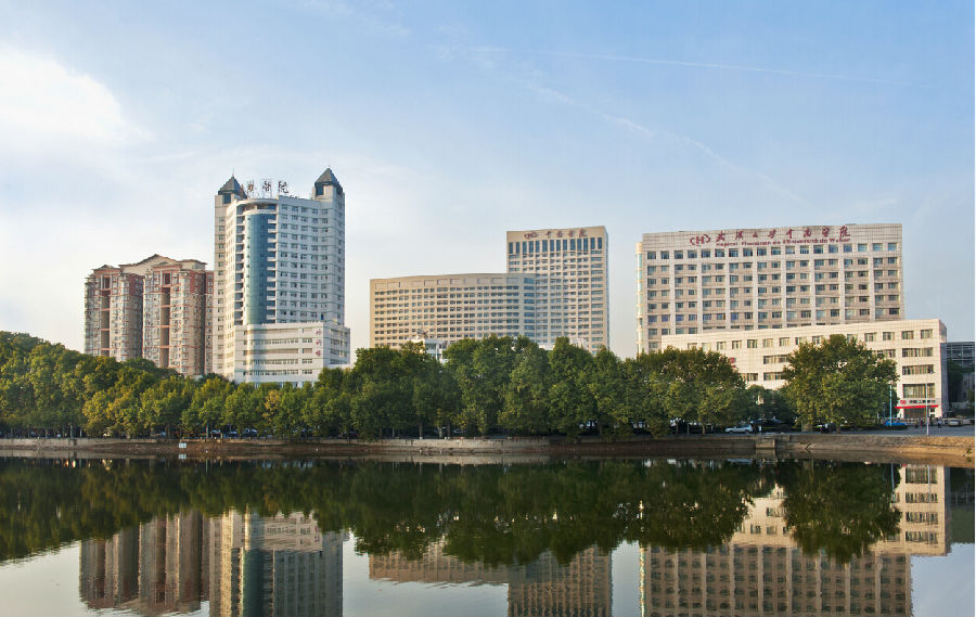 wuhan university school of medicine