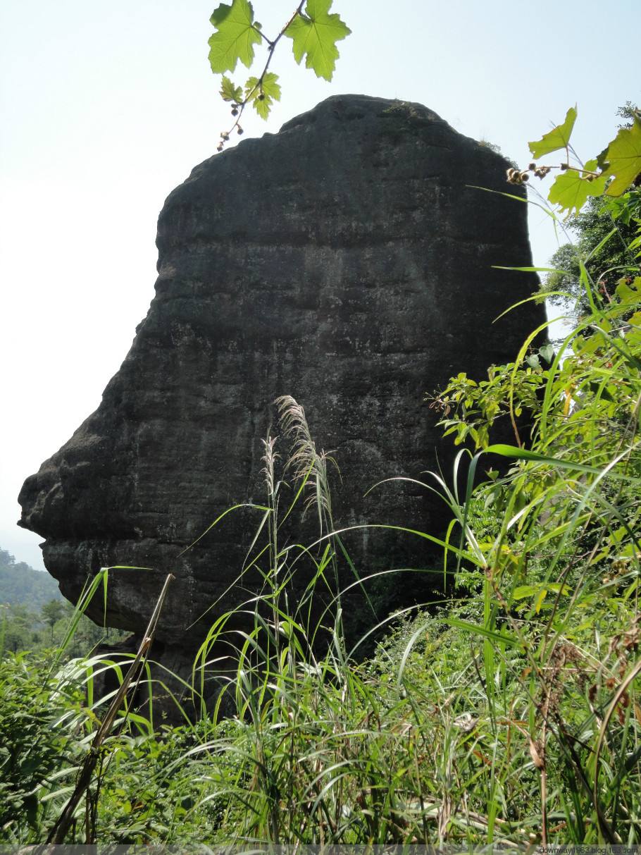 太平狮山国家森林公园