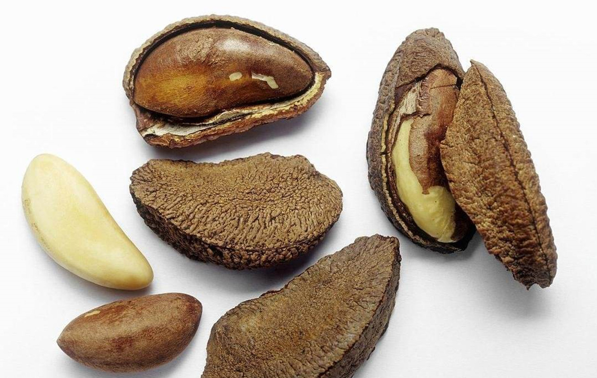  p>巴西栗又名 a href="#" data-lemmaid="8472048">巴西坚果 /a>,是