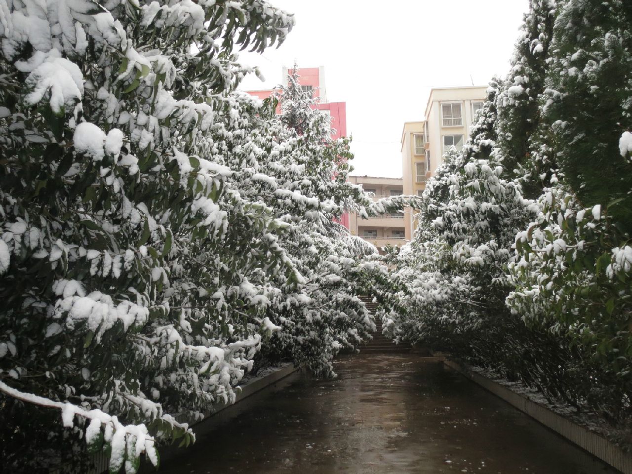 宣威市第九中学