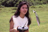力王laiwong(1991)