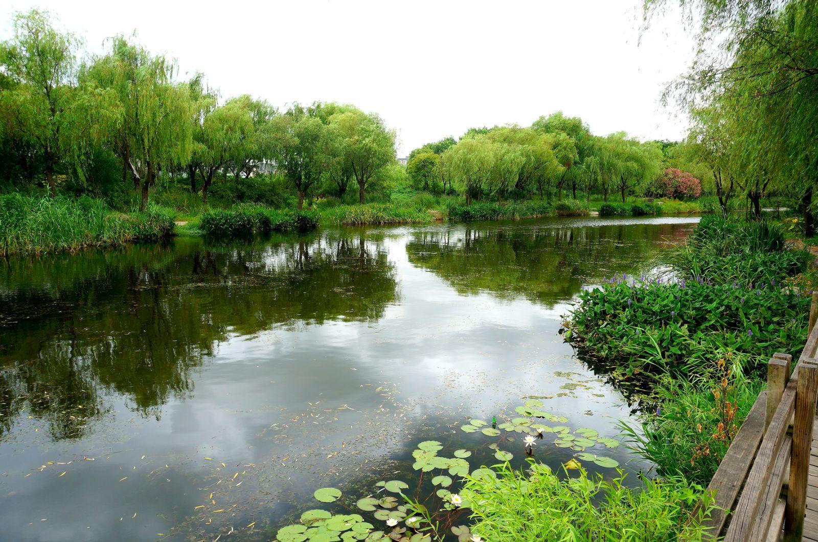 2">江湾湿地公园,位于 a target="_blank" href="/item/上海/114606"