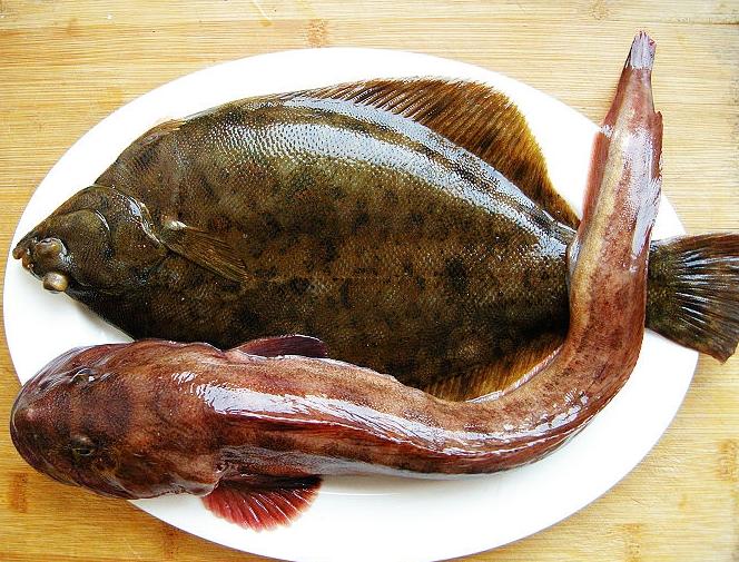 ="1579868">鲶鱼 /a>, a target="_blank" href="/item/海鲇/2211782"