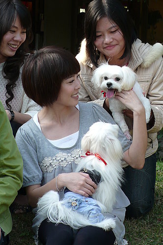  p>李康宜,1980年5月22日出生于中国台湾,毕业于 a target="_blank"