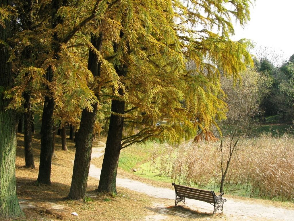  p data-id="gnwz90bhyw">番禺城北公园位于广州市番禺区东环街道,北