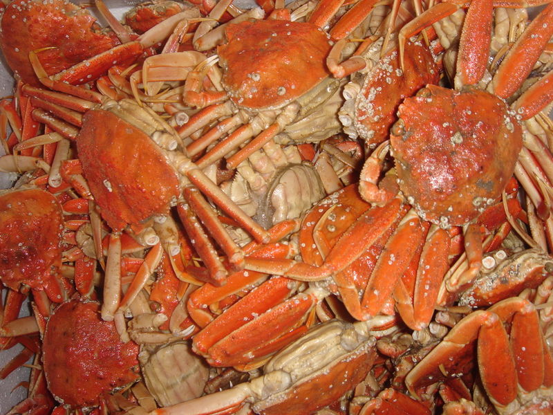  p>籽蟹是产于日本海域,俄罗斯海参崴海域,朝鲜海湾