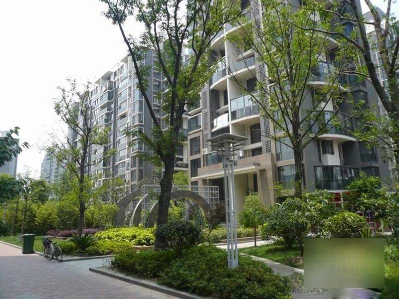 大华铂金华府大华公园世家