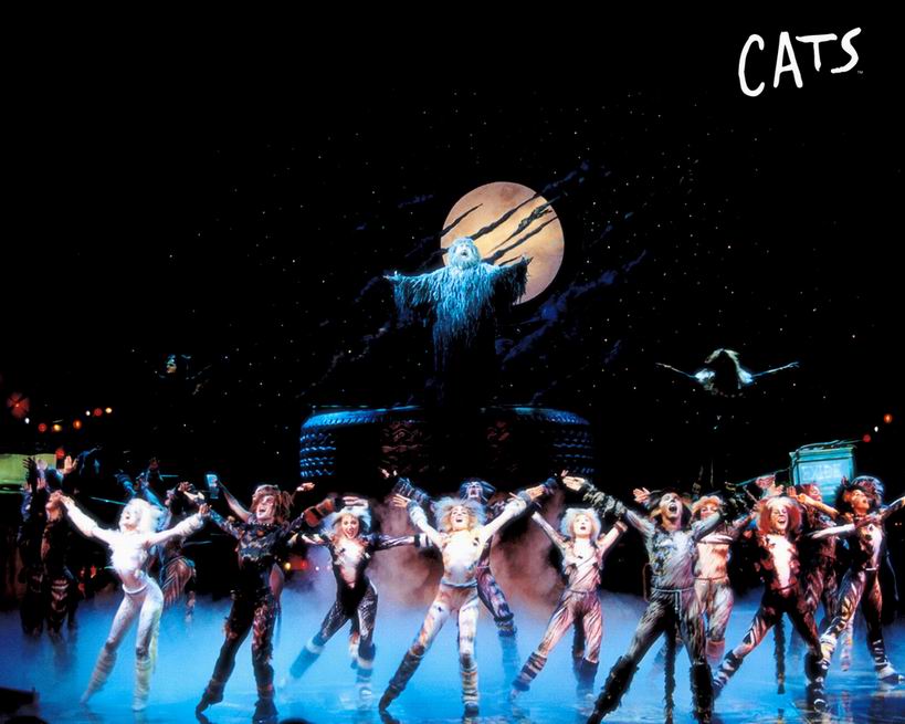 歌剧猫 全网资源