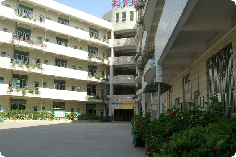 深圳市龙岗区名星学校