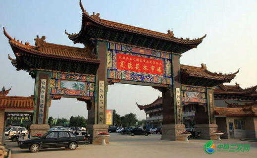  p> b>夏溪花木市场 /b>创办于1994年,至今已有20多年的发展历史.