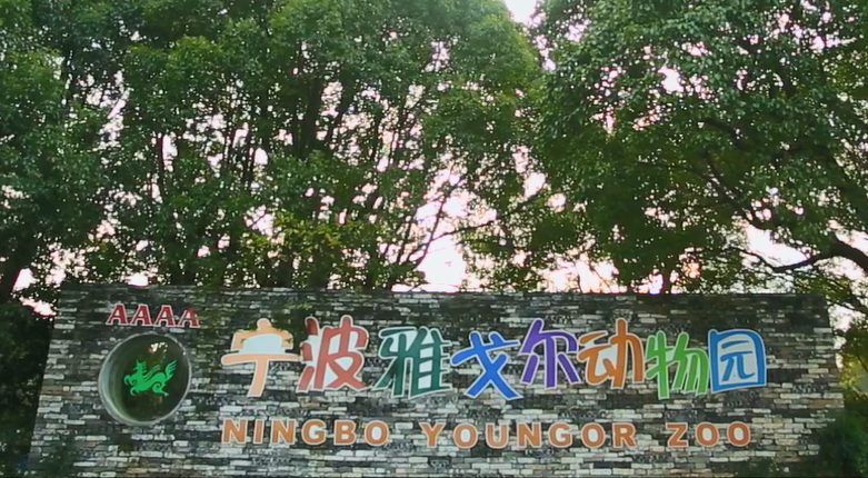  p>宁波雅戈尔动物园(ningbo youngor zoo)坐落在具有"西子风韵,太湖